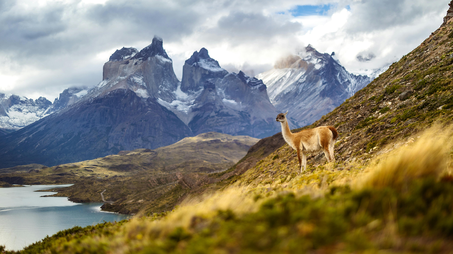 Comprometidas con Chile y el planeta